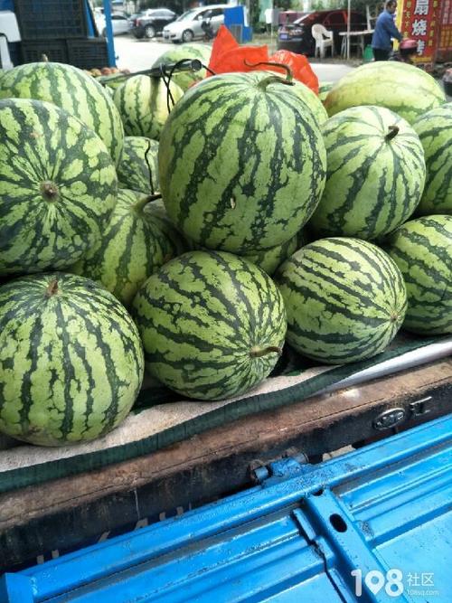 良心西瓜哥的个人主页_108社区_108sq.cn