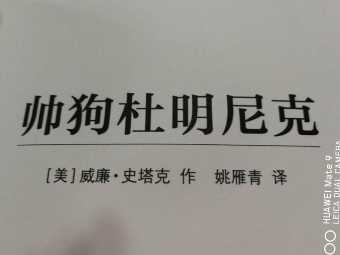 《帅狗杜明尼克》读后感