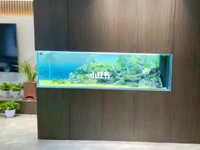 嵌入式草缸 客厅鱼缸玄关柜鱼缸定制设计_客厅_玄关_嵌入式鱼缸_家居