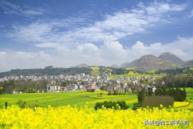 2019年第一抹春色已上线,80万亩黄金花海错过等一年!