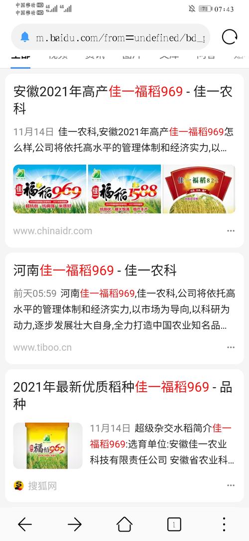2020年【佳一福稻】没有任何田块出现"旱青立病".