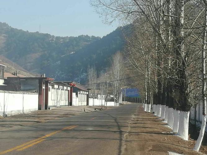 沁源县李元镇"五道五治"工作 每日动态9