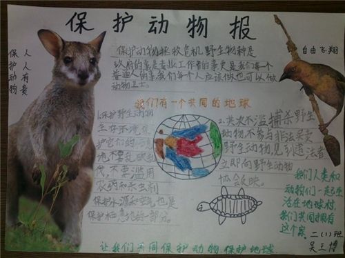保护动物手抄报小学生保护动物手抄报保护动物手抄报内容