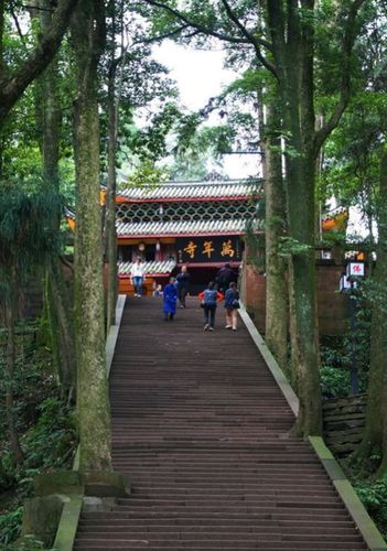 【问禅】心静自然凉——峨眉山万年寺坐禅避暑