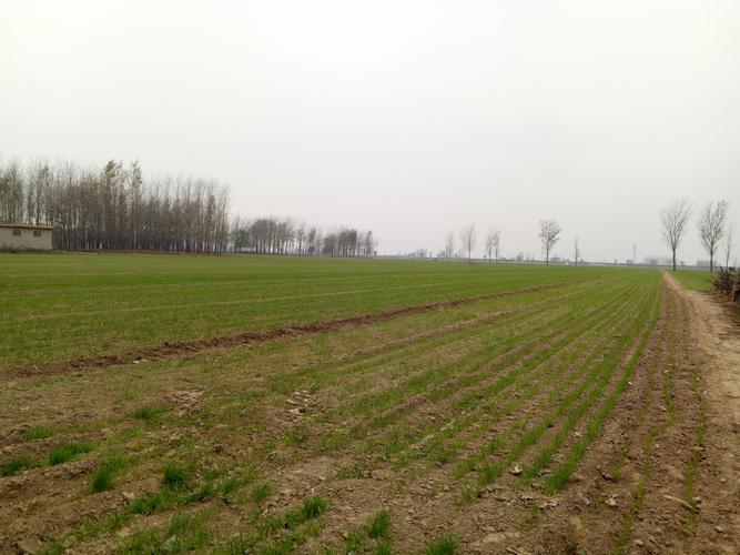 农村土地法新政策,这几点变化,农民一定要注意