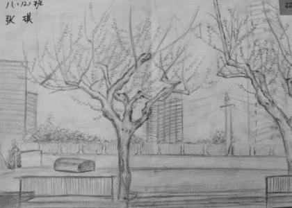 校园画图片大全风景