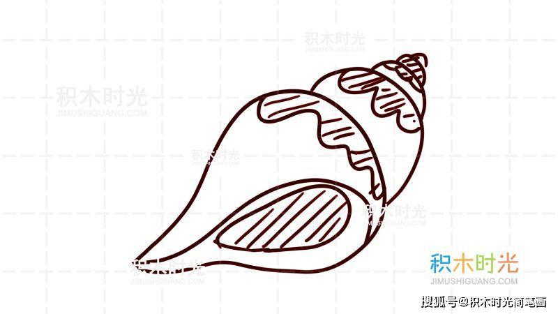 物简笔画图片大全,画海螺简笔画
