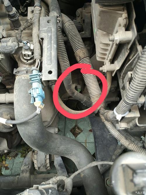 【图】wgmgxjmgwhmwgwg_科鲁兹论坛_汽车之家论坛