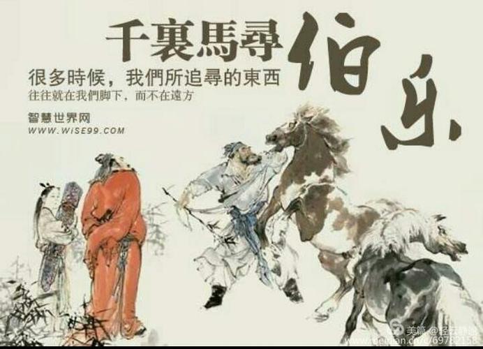 千里马寻伯乐!