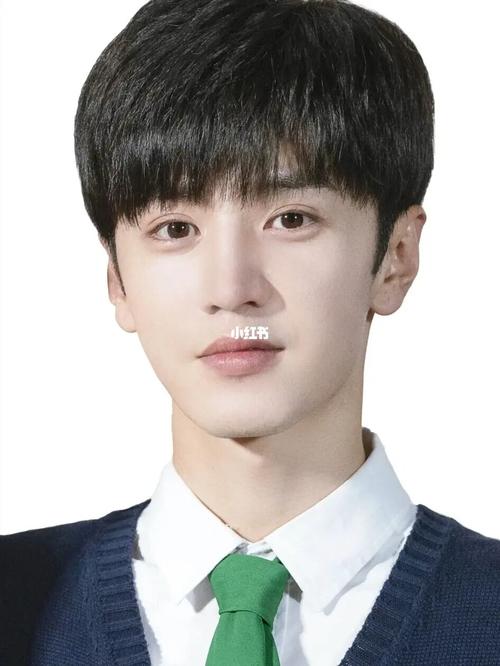 证件照真的太帅了_证件照_白敬亭_陈哲远_娱乐_明星