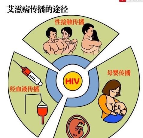 从传染病的角度预防艾滋病