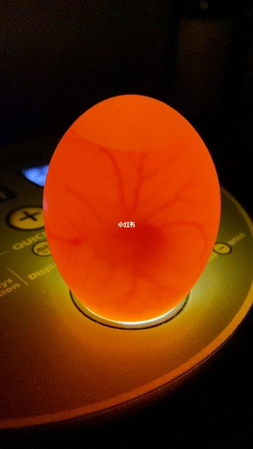 入孵第六天照蛋_鸭蛋_柯尔鸭_宠物_宠物其他