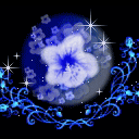 cctv118.com/qq546683833/sr/2.