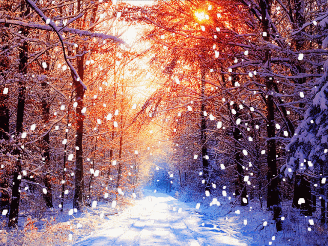 20年前安徽的下雪天