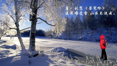 美丽的雪景(一)