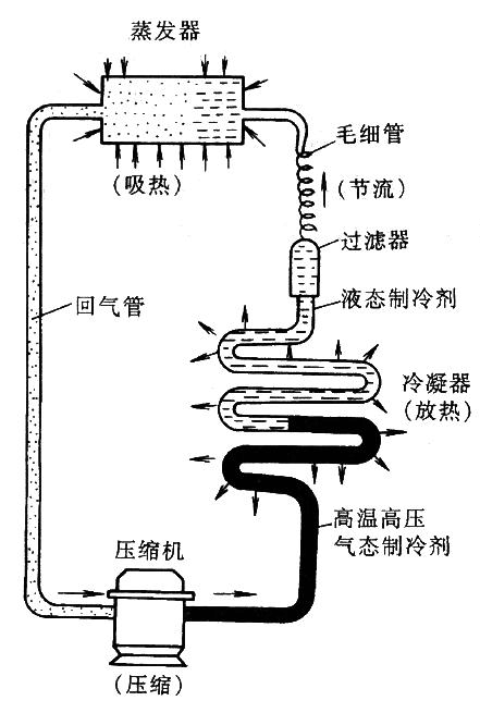 蒸气压缩式电冰箱的工作原理