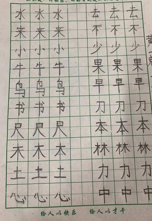 山大附中实验小学一年级写字大赛
