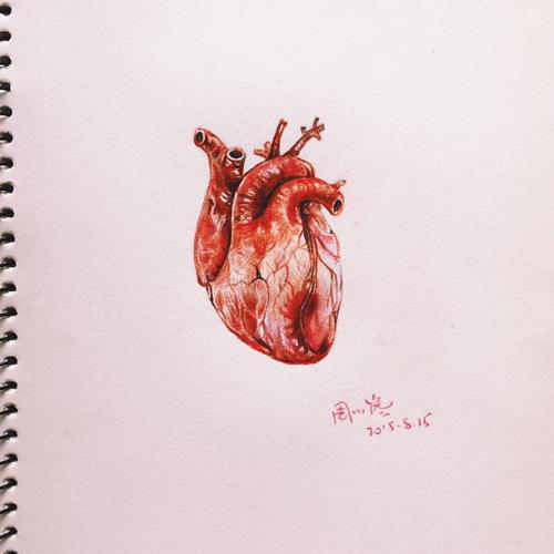 心脏|插画|创作习作|周小馋 - 原创作品