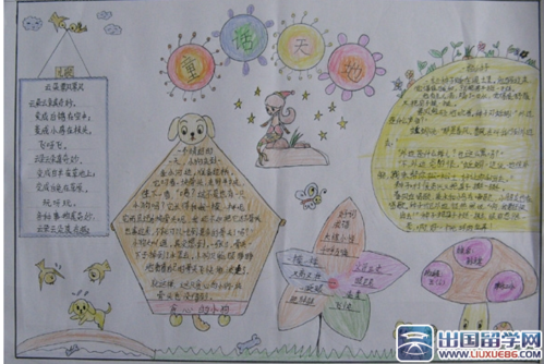 小红帽故事手抄报 成语故事手抄报