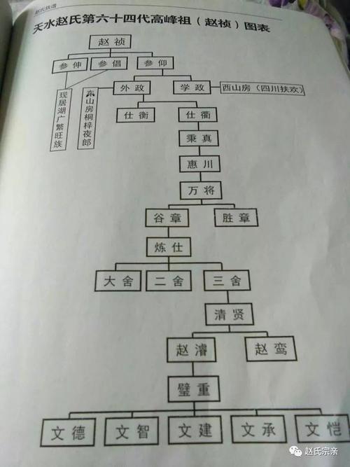 赵氏家谱资料收集