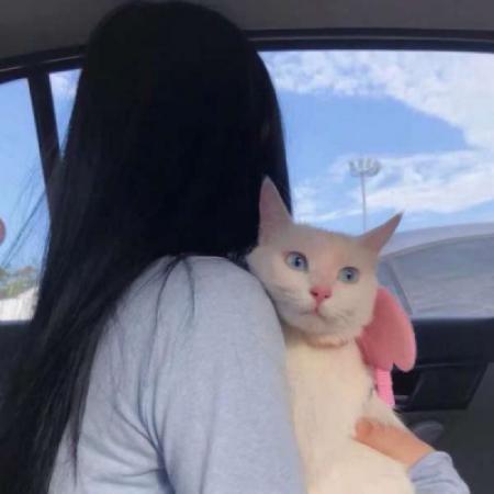 抱猫的情侣背影头像