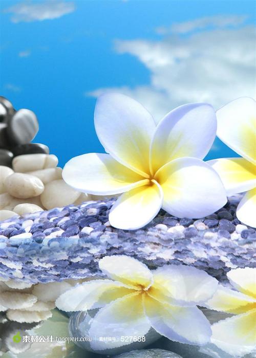 花朵高清装饰画设计素材图片下载,现在加入素材公社即可参与传素材送