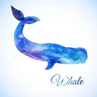 【fm】小白的音乐旅途02-世界上最孤独的鲸鱼