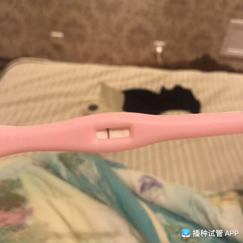 囊胚第六天希望不是咋呼,淑女牌验孕棒
