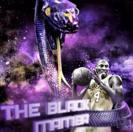 世界上最毒的曼巴蛇——科比·布莱恩特