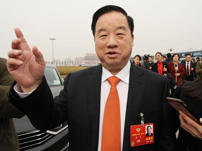 全国政协委员,新华联集团董事局主席傅军
