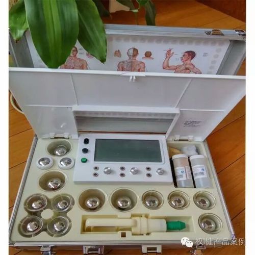 权健经络综合治疗仪