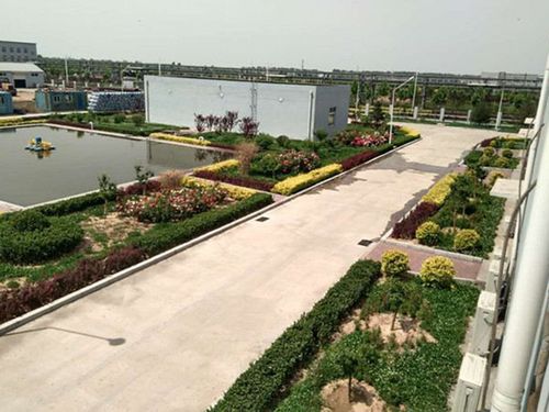 厂区绿化