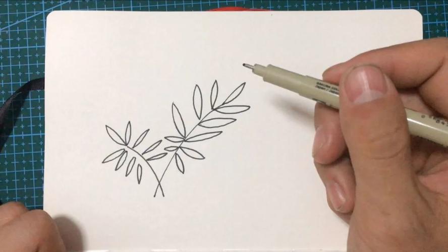 儿童简笔绘画散尾葵怎么画记得收藏