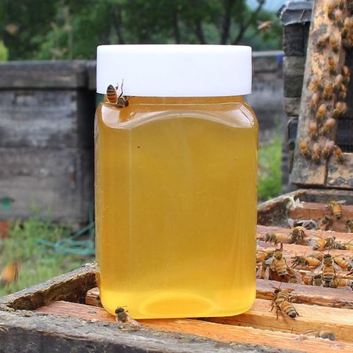 蜂蜜天然纯野生正品土蜂蜜自产自销农家百花蜜天然洋槐蜜500g/瓶