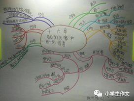 《西游记》《绿野仙踪》《兔子坡》《查理和巧克力工厂》整本