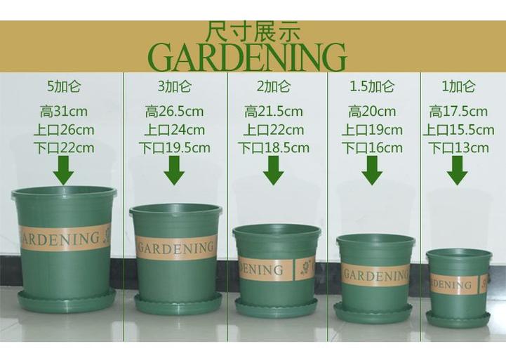 塑料花盆 长盛加仑盆高矮 树脂彷爱丽丝阳台种花种菜绿萝园艺批发