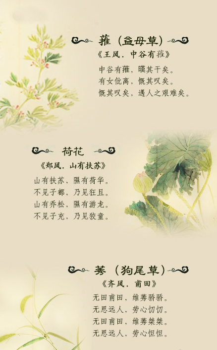 诗经中把最美的植物写成了诗,看的赏心悦目-搜狐