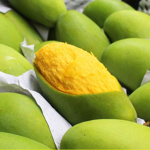购客越南进口青皮芒果新鲜水果整箱9斤装 免邮 费青芒当季应季大芒果