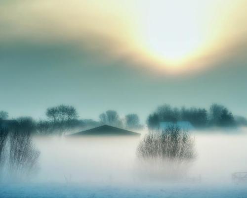 花非花雾非雾|《我不知道的真实》