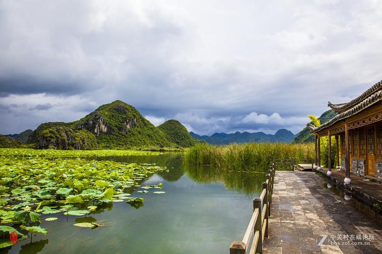 云南普者黑之天鹅湖景区