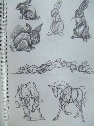 动物速写