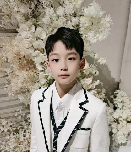 宝藏男孩,最帅星二代 王梓涵