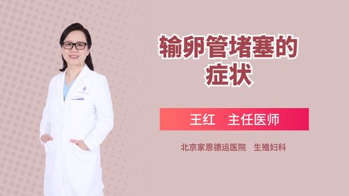 正文   北京家恩德运医院-男科-主治医师-白泉-输卵管堵塞的症状 特别