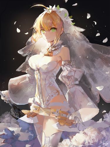 动画 动漫杂谈 fgo英灵-「尼禄·克劳狄乌斯[花嫁篇」 「up精选超清壁
