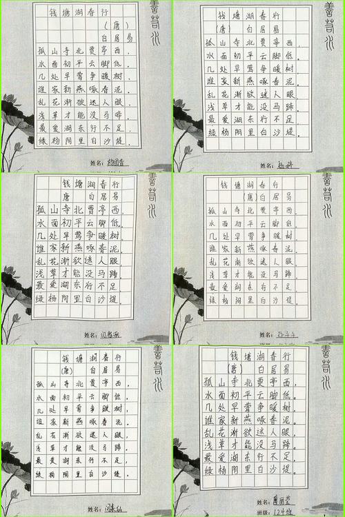 部分硬笔书法作品