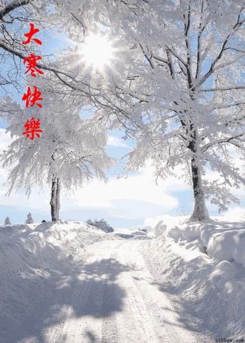 大寒,最后的冬天(2018.1.20日11.08.58秒)
