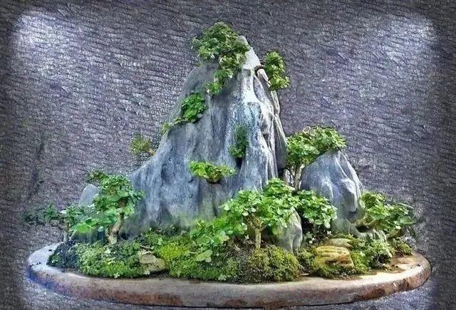 山石盆景造型心得与方法