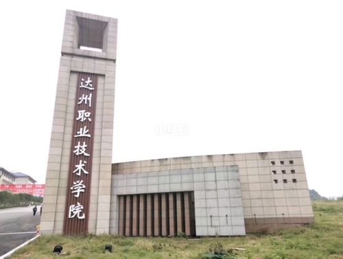 达职院_教育_大学教育
