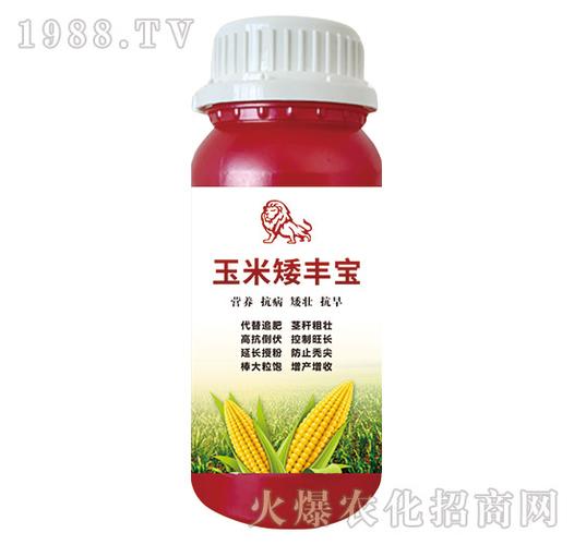 玉米矮丰宝瀚狮农业