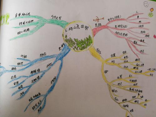 自由的思维,美丽的信仰——青葵小学青年教师思维导图
